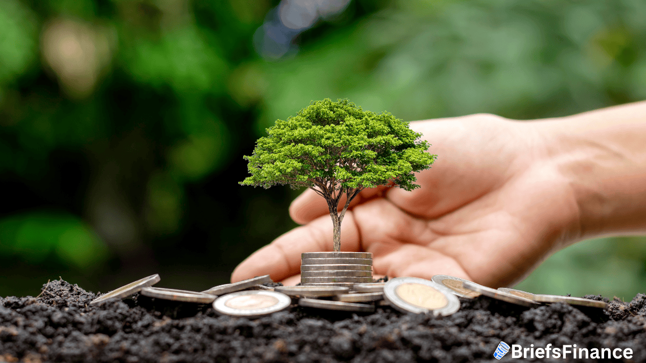 A hand supports a small tree growing from a stack of coins, surrounded by soil and additional coins, symbolizing financial growth and investment.