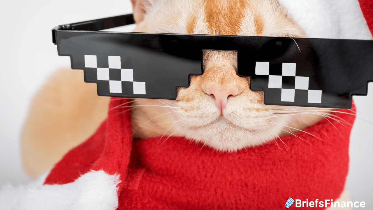 A cat wearing pixelated sunglasses and a red Santa outfit. The BriefsFinance logo is visible in the corner.