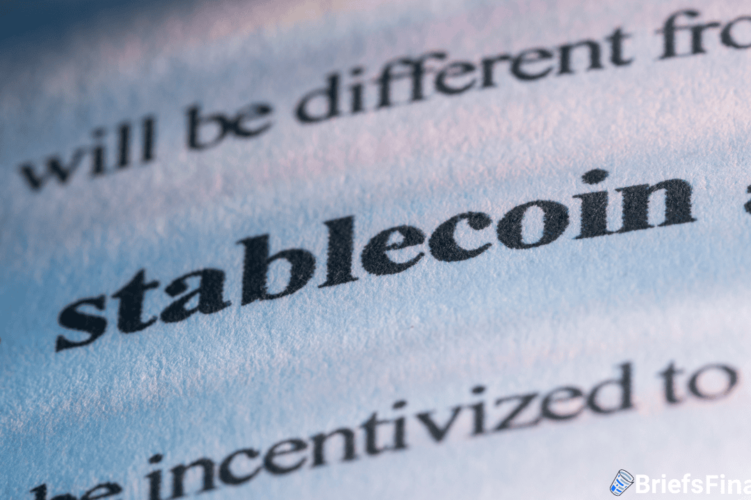 Close-up of the word "stablecoin" in bold black text on a printed, slightly textured page with blurred surrounding words.