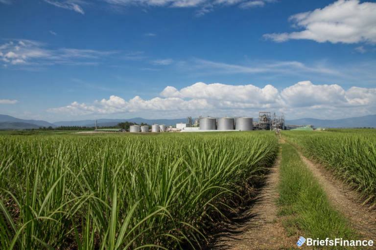 Indonesia doubles 2028 ethanol blend goal to 20%