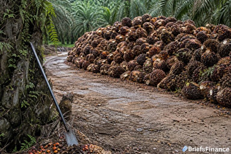 Palm Oil's Split Personality: Near-Term Glut, Next-Year Squeeze