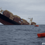 Singapore-Registered Container Ship Goes Down in Strait of Hormuz After Strike